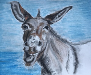 Suzi's Donkey illustration resize
